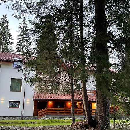 Sidharta Resort Обыршия-Лотрулуй Экстерьер фото
