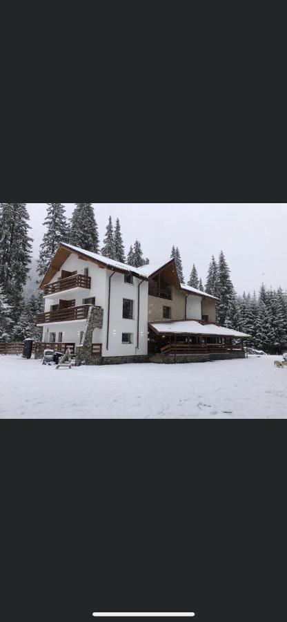 Sidharta Resort Обыршия-Лотрулуй Экстерьер фото