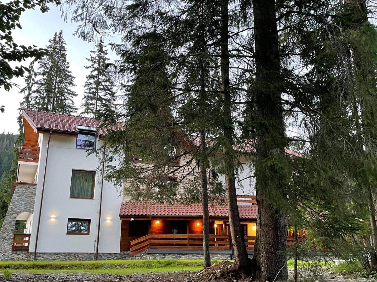 Sidharta Resort Обыршия-Лотрулуй Экстерьер фото